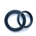 Custom NBR FKM Rubber Shaft Bearing Hydraulic Framework Tb Oil Seal